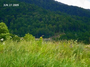 Verde De Romania